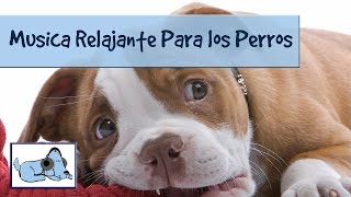 Relajacion total para perros, mira como funciona, ponlo a prueba y disfrutalo