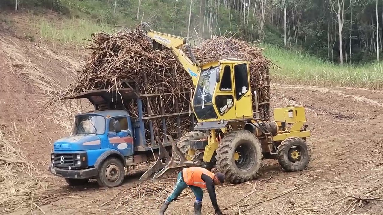 Veja o melhor momento 