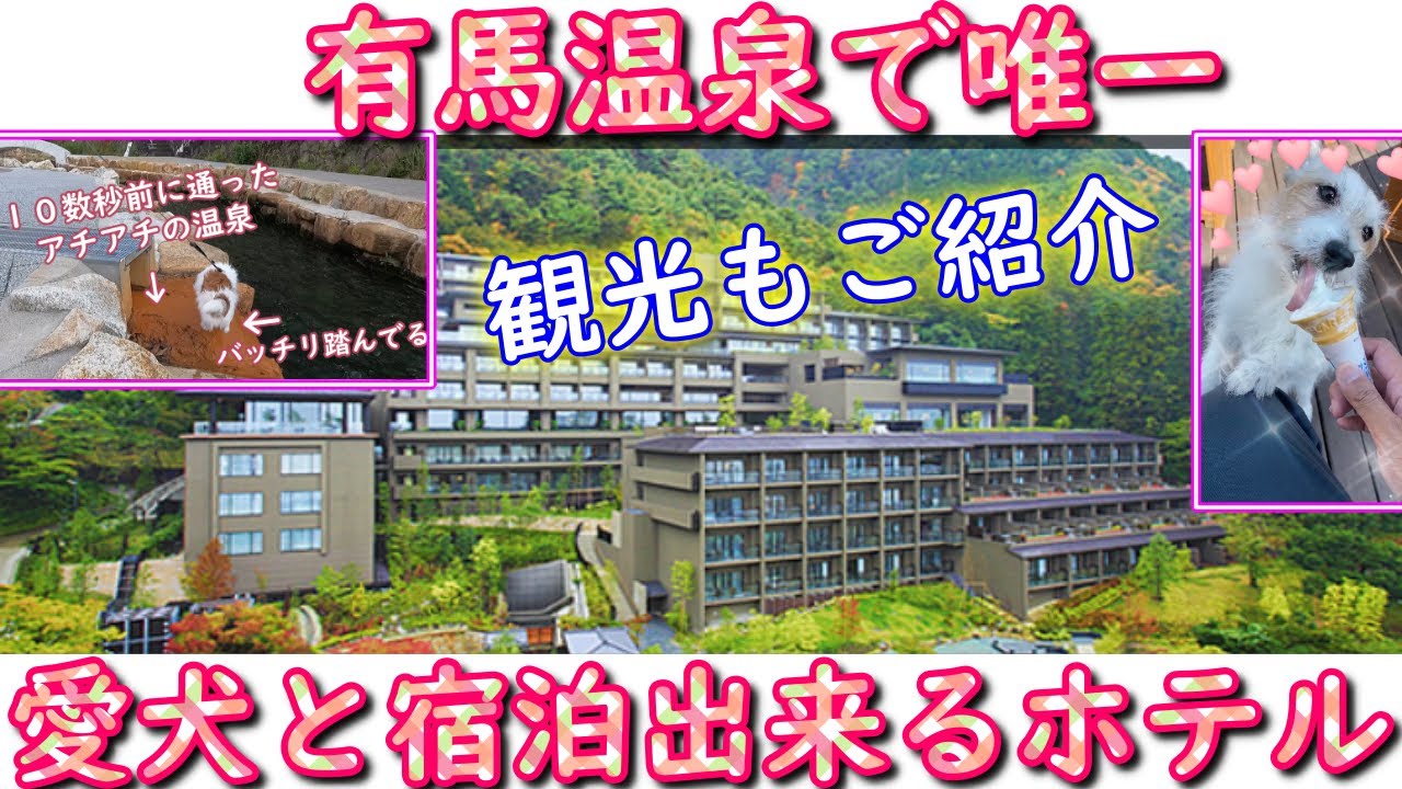 【有馬温泉】犬と泊まれるホテル紹介と街並み紹介【Vlog】