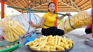 FULL VIDEO: Harvest custard apple, forest fruit, orange | Popcorn making process goes to market sell