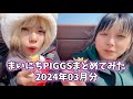 まいにちPIGGSまとめてみた - 2024年03月分