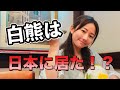 【鹿児島】北極のシロクマから九州のシロクマへ【ラーメン】