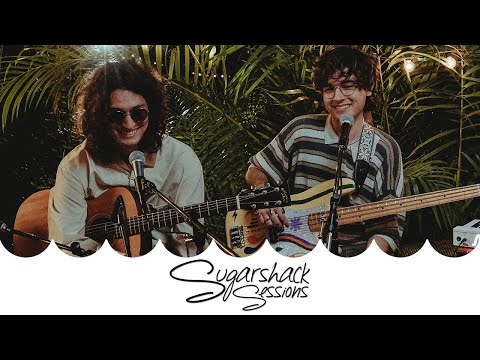The Polar Boys - Nothing Has Changed  (Live Music) | Sugarshack Sessions