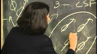 Lecture 5 - Bayesian Segmentation of MRI Images