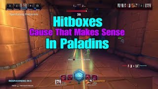 Hitboxes In Paladins...