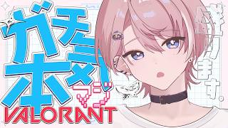 【 VALORANT 】ガチ【 Neo-Porte / 水無瀬 】