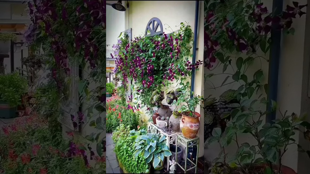 Garden Decor Ideas That'll Captivate Your Soul🌺🌱