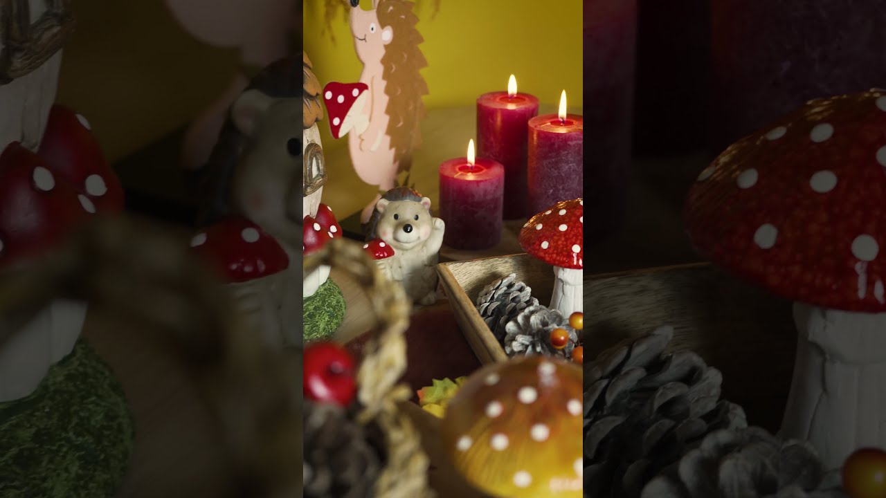 ACTION Shorts: Gezellige decoratie voor in huis 🍁 🍄