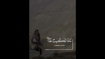 سورة لقمان | القارئ ناصر القطامي