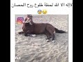 لحظة طلوع الروح للحصان ربي هون سكرات الموت علينا