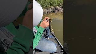 Un après-midi tranquille #pêche #fishing #brochet #carnassier #fyp