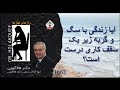 آیا زندگی با سگ و گربه زیر یک سقف کاری درست است 