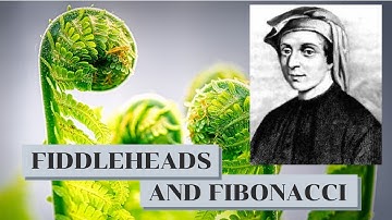 Fiddleheads and Fibonacci: The Incredible Code Hidden in Ferns