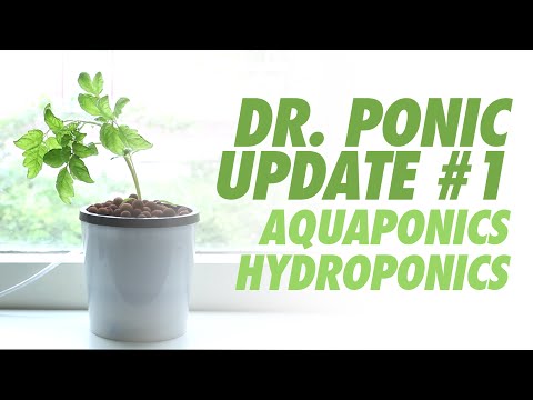 UPDATE 1 / Home aquaponics and DIY hydroponics planter tutorial