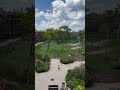 View at Animal Kingdom Lodge