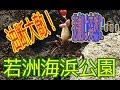 釣り動画ロマンを求めて　35釣目（若洲海浜公園）