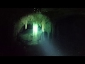 Cenote Dos Ojos: Bat Cave