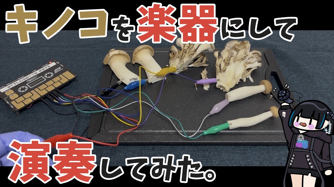 【キノコで演奏】いろんなものを楽器にできる道具『Stylosette(スタイロセット)』を使ってキノコを楽器にします!