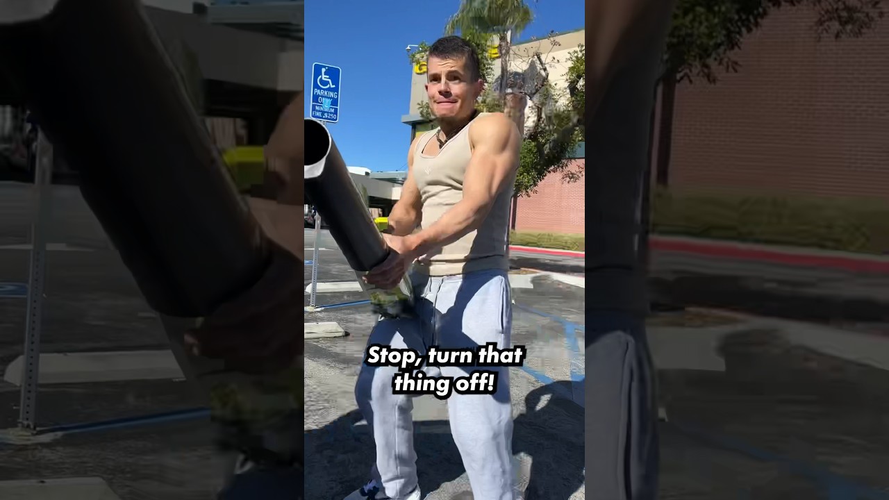 When someone tries to sit in your car all sweaty 😳 shorts YouTube