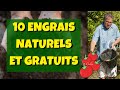 10 engrais naturels ET gratuits pour votre potager !