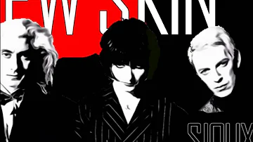 Siouxsie & the Banshees - New Skin (lyrics)