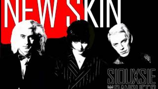 Video thumbnail of "Siouxsie & the Banshees - New Skin (lyrics)"