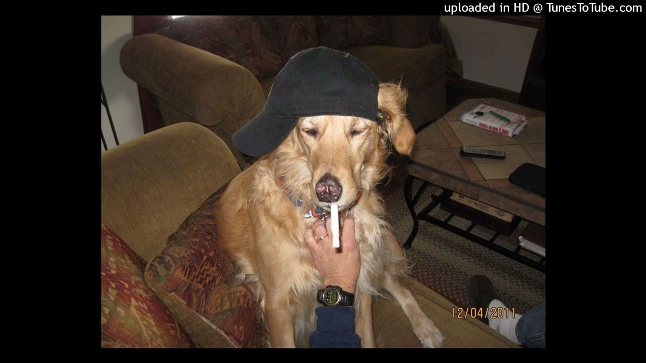 [free] smokedope2016 x black kray x yung bruh type beat - yandere shlyxa