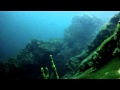 Diving in Lake Baikal