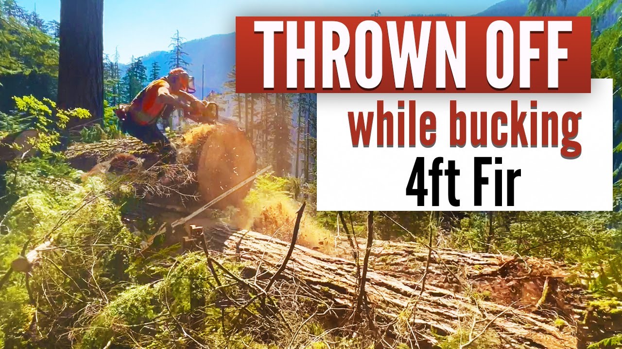 Hazards of a Timber Cutter | This happens when you make a mistake in the bush