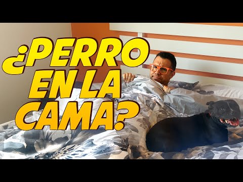 Dormir con el