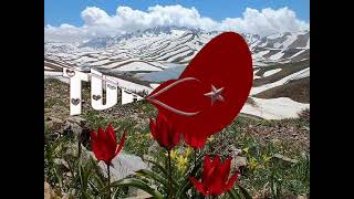 Grup Volkan - Şahlanış Marşı Resimi