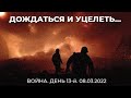 8 марта. Дождаться и уцелеть! Война, день 13-й.