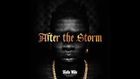 Shatta Wale - If I Collect (Audio Slide)