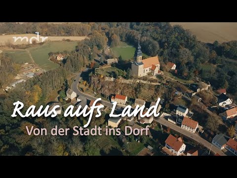 Video: Pferdemist als Dünger: Anwendung, Bewertungen