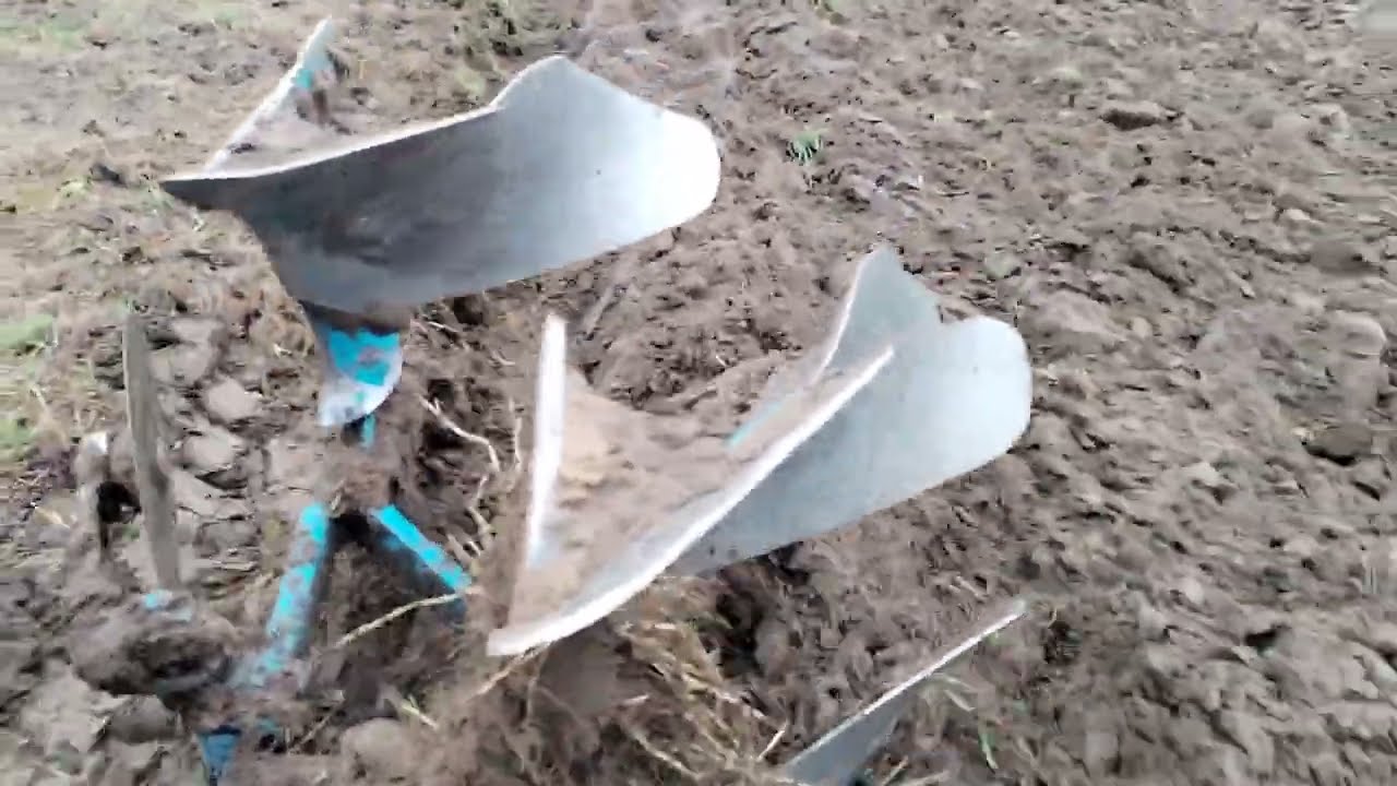 глибока оранка оборотним німецьким плугом. Прадід квернеленда)
