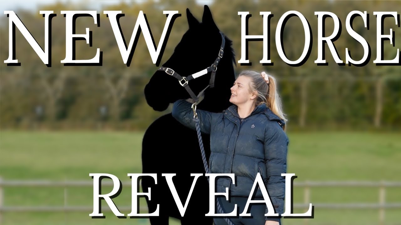 ЗНАКОМЬТЕСЬ С МОЕЙ НОВОЙ ЛОШАДЬЮ (Большое открытие)