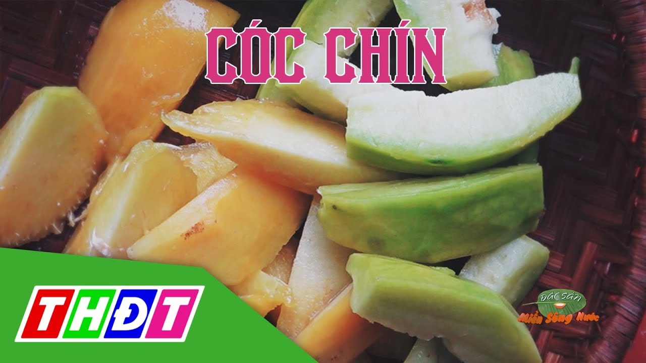 Ngất ngây món ăn từ Cóc chín miền Tây | Đặc sản miền sông nước | THDT ...