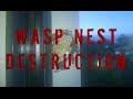 Wasp Nest Destruction