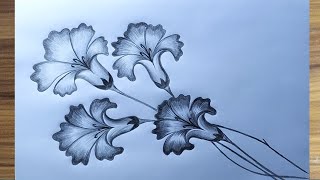 How to Draw flower easy / How to flower Draw pencil art / How to Draw a blooming flower /