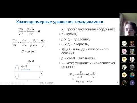 05.10.21 || Квазиодномерные модели течения в исследованиях систем сосудов человека