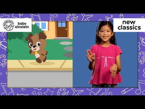 My First Signs My Street New Classics Baby Einstein Learning Show For Toddlers Cartoon 
