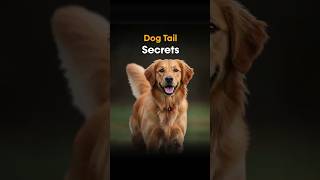 Dog Tail Secrets 🐶 | What Wagging Really Means!