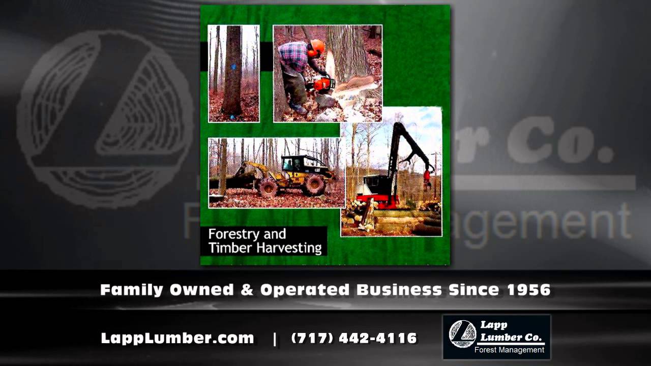 Timber Mill Lancaster County PA Lapp Lumber Co YouTube
