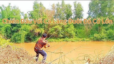 Câu Cá Suối Rạt, Vịnh Mới Đẹp Sâu Nơi Tụ Hội Những Con Cá Khủng/Tập 72/Hòa Vlog 934.