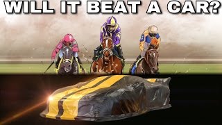 Horse vs CSR 2 Car? | Photo Finish Horse Racing!