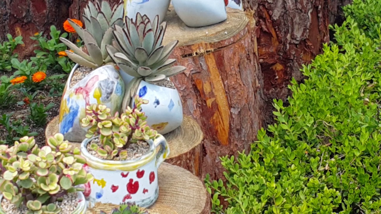 다육이. (이천 도자기축제  2017년♡*1)