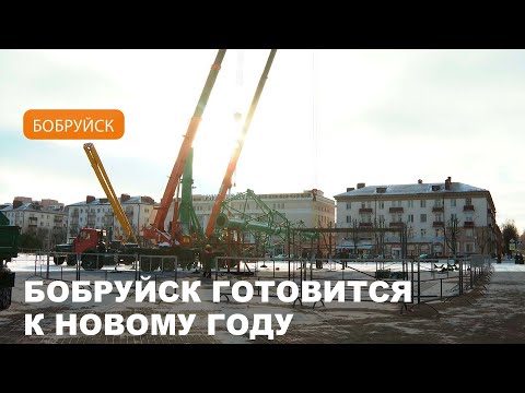 Главную праздничную елку возводят в Бобруйске