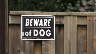 Toronto cracking down on dangerous dog owners
