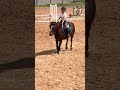 my girlll❤️| #horse #equestrian #sunnysideup