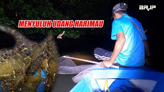 VLOG MENYULUH UDANG HARIMAU, HASIL LUMAYAN